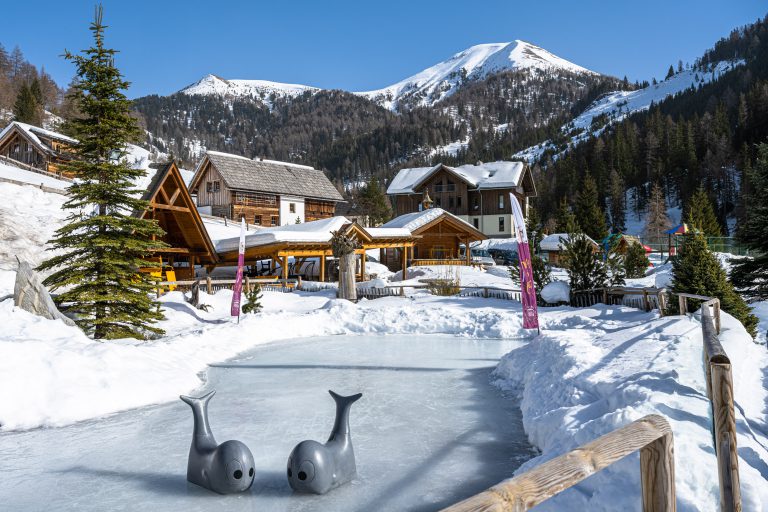002-21 ©FRANZGERDL HO-Frühauf Winter-II _1026